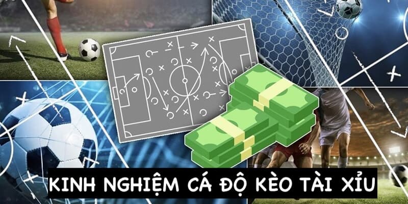 Kinh nghiệm cá độ O/U chắc thắng cho thành viên mới